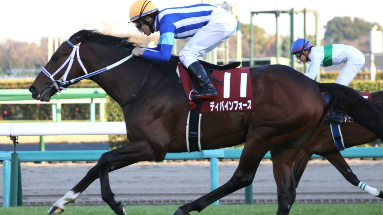 Japanese Dirt Champion, T O Keynes, A Promising Contender ... Image 2